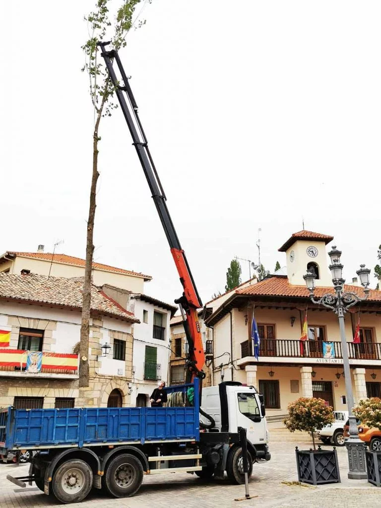 Policía Valencia Grúa